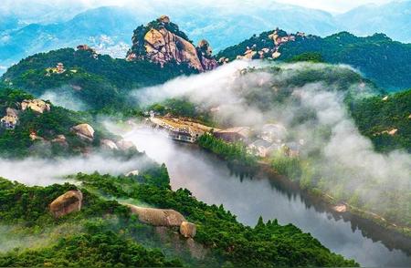 早安安徽：黄山毛峰全面开园，采摘季节来临