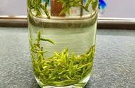 中国十大绿茶排行榜：香气浓郁，滋味醇厚，你喝过几款？
