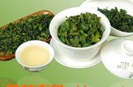 铁观音茶：一种独特的茶叶品种