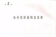 轻松掌握工笔牡丹画法：从此爱上国画艺术