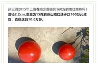 南红珠价值160万，收藏家眼中的珍品