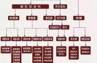 红木世界探秘：从日常称呼到专业学名