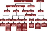 刺猬紫檀与非州黄花梨：哪种更适合你的需求？