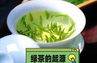 绿茶知识大全：从起源到品种，再到泡制秘诀