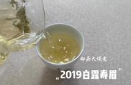 专家解析：寿眉散茶与饼茶在品质、口感上的差异对比