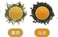 茶道必修课：轻松理解茶叶的种种知识