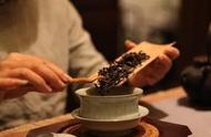 茶艺演变史话：煮茶、煎茶、点茶技艺与现代泡茶的融合与发展