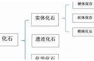 我找到了化石，但这只是一种误解