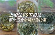 揭秘玻璃杯泡茶技巧：上投与下投，哪种更适合你？