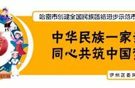 去新疆捡石头，说不定就能实现别墅梦！不信你就试试！