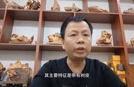 崖柏知识大全：解锁植物的神秘力量