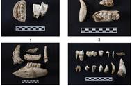 从9000年前开始的玉文化探索：十大考古新发现的新视角