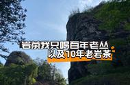 武夷岩茶三大坑：你是否已经深入体验过古井老丛、百年老丛和十年老岩茶的深度魅力？