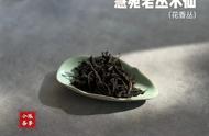 李麻花深度解析：新购武夷岩茶水仙为何香气浓郁