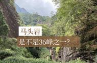 武夷山的茶叶种植：三十六峰、七十二洞、九十九岩的揭秘之旅