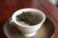 普洱茶：饼茶还是散茶，你的答案是什么？