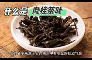 肉桂：武夷岩茶香气的明星品种