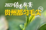 贵天下千元级都匀毛尖：2023绿茶联赛的新体验