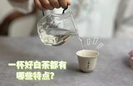 高性价比白茶的特征，你有了解吗？来看看你的茶是否符合这些标准？