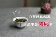 白茶“越陈越香”：真相大白，是真实还是一场骗局？