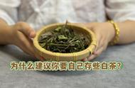 喝茶十几年，我发现白茶的三大好处是真实有效的