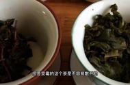 茯砖茶中金花茶与发霉茶的鉴别：专业指导