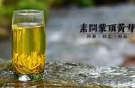 蒙顶黄芽：消脂降血糖的新选择，你喝过吗？