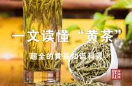 黄茶知识一览无余：一篇文章让你轻松掌握黄茶