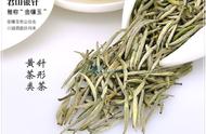 详解中国黄茶四大“黄芽茶”的收藏与保存方法