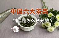 中国六大茶类的真相：大红袍与铁观音的误区