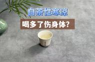 白茶的性质探讨：寒凉还是温和？看完你就明白了