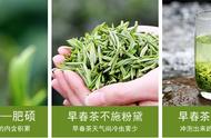 茶叶的'七宗最'，你知道多少？看过的人都收藏了