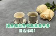 绿茶和白茶的4点区别，让你看清它们的差异