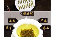 六大茶类全面解读：名优黄茶的世界闻名