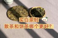 白茶购买攻略：新手如何选择白茶散茶和饼茶？