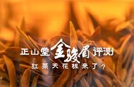 红茶的天花板：正山堂2022金骏眉红茶的万元一斤探索