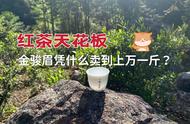 金骏眉的价值解析：红茶的天花板，为何能卖到上万一斤？