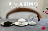 正岩茶，究竟好在哪里？又贵在何处？一次性为你揭秘