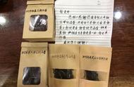 《老徐鉴茶》639期：体验2023年班盆古树头春茶的独特魅力，由汕尾茶友带你领略茶叶之美。