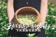 云南下关茉莉花茶：口粮中的战斗机，你准备好了吗？