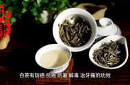 茶叶科普：花茶、白茶、乌龙茶与紧压茶的详细指南