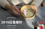 春茶季：白茶，一场关于种茶、采茶、制茶与卖茶的盛宴