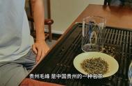 走进贵州毛峰茶的世界，感受茶文化的魅力