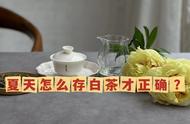 两千多一斤的白毫银针，存茶小技巧大公开：让你的茶叶更持久新鲜