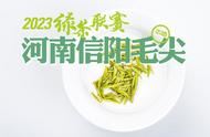 绿茶联赛2023：信阳毛尖小浑淡，口感评测让你欲罢不能