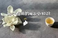 绿茶过期后会不会变成红茶？揭秘茶叶的10个小秘密