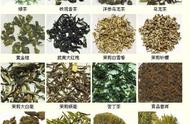 中国茶名大全：茶叶品种与文化的完美结合