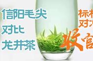 中级信阳毛尖与龙井茶：文新与贡牌的茶叶对比