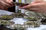 蒙顶甘露茶叶品质的外观特征：外形和色泽的辨别技巧