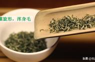 碧螺春泡茶小窍门，让你的茶汤更加浓郁可口！